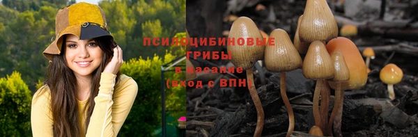 гидра Абаза