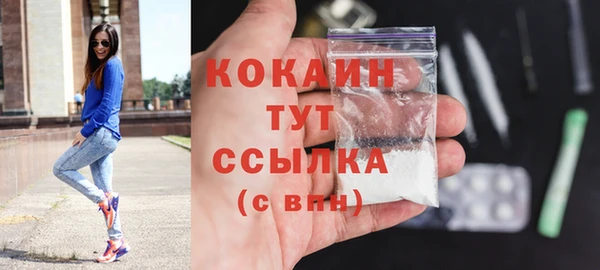 гидра Абаза