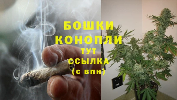 гидра Абаза