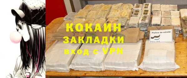 гидра Абаза