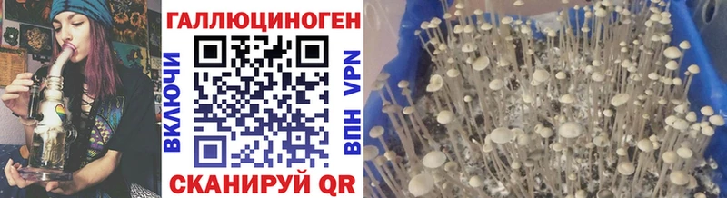 Псилоцибиновые грибы GOLDEN TEACHER Жердевка